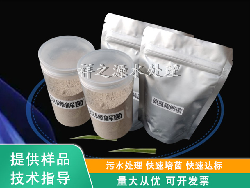 ​氨氮降解菌
